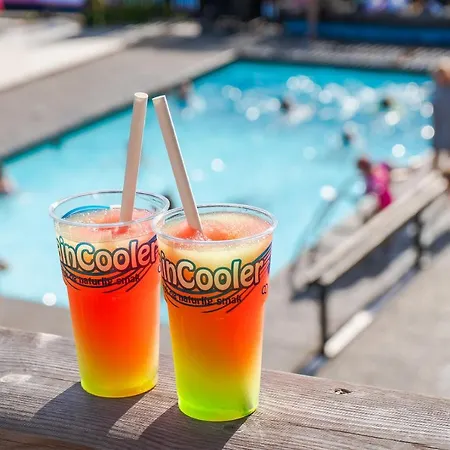 Campsite Topcamp Rustberg - *